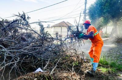 DMLU retira 15 toneladas de entulhos em limpeza no bairro Partenon