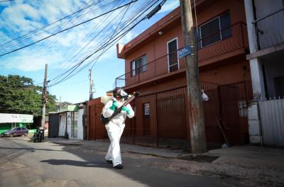 bloqueio químico - dengue