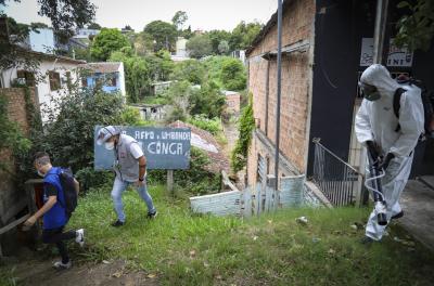 pulverização e bloqueio químico contra a dengue, aplicação de inseticida