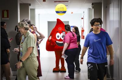 Hemotchê