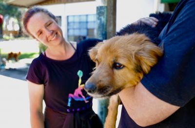 castração e adoção de animais em Porto Alegre