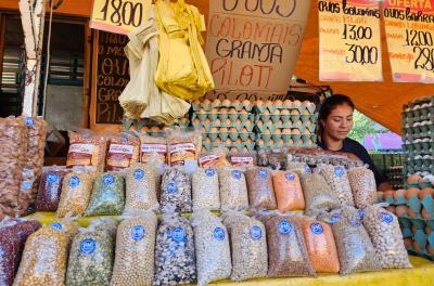 Energia solar na Feira Mercadão do Produtor do Moinhos de Vento