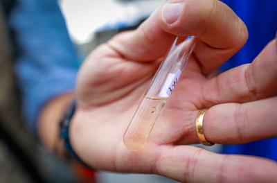 Órgãos municipais serão responsáveis por ações de combate ao Aedes aegypti em suas sedes