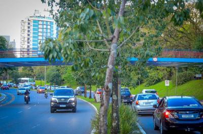 avenida Goethe 