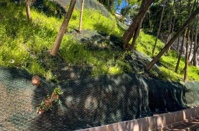 Obra do Morro Ricaldone será entregue nesta quarta-feira