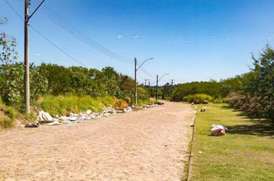 DMLU faz limpeza no bairro Hípica neste domingo