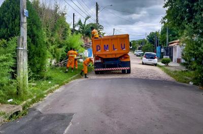 Mutirão de limpeza recolhe 70 toneladas de resíduos no bairro Hípica