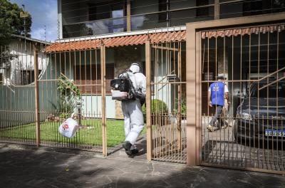 dengue