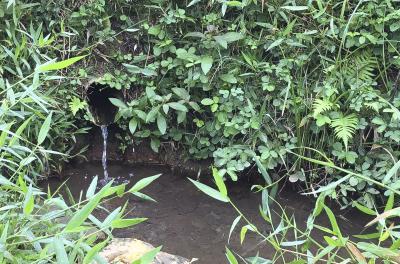 Vigilância ambiental reforça orientações sobre água de fontes