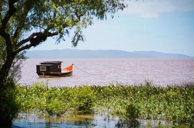 Alterações em características do Guaíba influenciam na balneabilidade da orla
