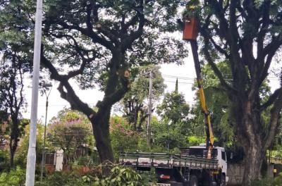 Mais de dez praças receberam mutirão de serviços desde 14 de janeiro