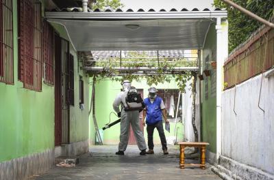 dengue pulverização