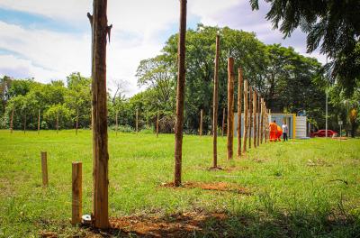 Parque Marechal Mascarenhas de Moraes terá espaço de lazer para cães