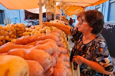 feira de hortifruti