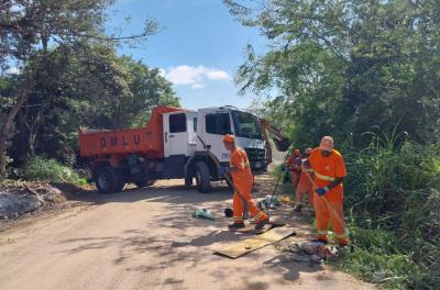 Mutirão de limpeza recolhe 72 toneladas de resíduos no bairro Lomba do Pinheiro