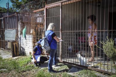 vacinação antirrábica