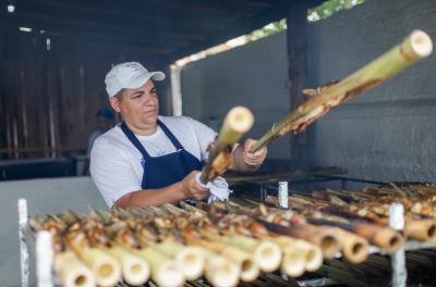 peixe na taquara
