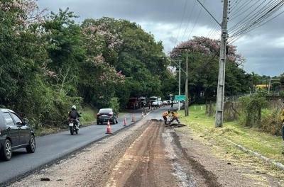 avenida Protásio Alves 