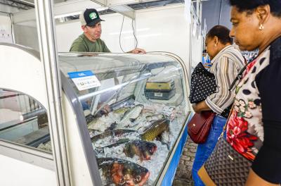 Feira do Peixe 