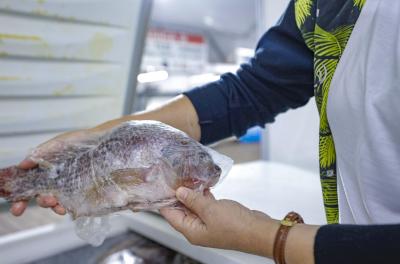 Pescado