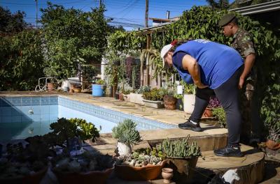 combate à dengue