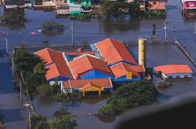 Estudo inédito aponta impacto de enchente nas árvores de Porto Alegre