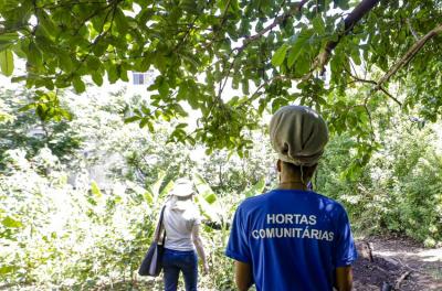 horta comunitária 