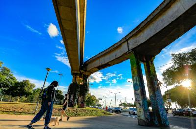 Praça Júlio Mesquita recebe novo espaço pet neste sábado