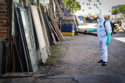Porto Alegre registra 11 óbitos por dengue neste ano