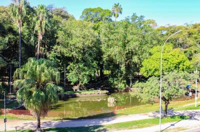 Diversidade arbórea confirmada no censo dos parques