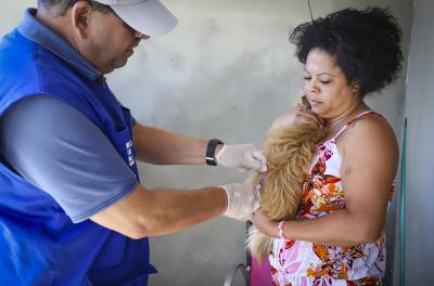 vacinação contra raiva