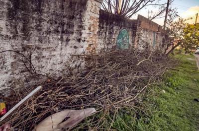 Mutirão de limpeza recolhe 133 toneladas de resíduos nos bairros Ipanema e Hípica