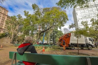  Prefeitura conclui manejo em arborização na Praça da Alfândega