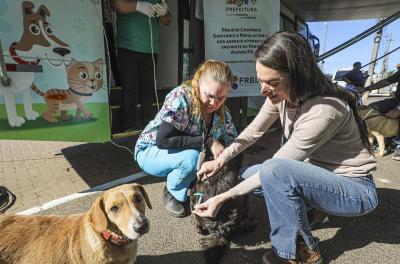 atendimento veterinário na Santa Terezinha