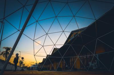 Tecnologia inovadora transforma resíduos de peixe em proteínas de alto valor