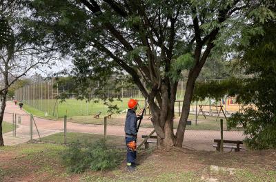 Parque Alim Pedro recebe serviço de poda preventiva