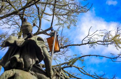 Prefeitura realiza quase 23 mil ações de manejo e poda preventiva em sete meses