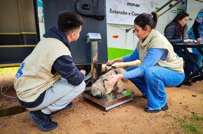 Inscrições para castrações gratuitas de cães e gatos abrem nesta quarta-feira