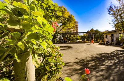 DMLU amplia horários de quatro Ecopontos