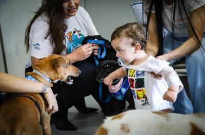 Cães visitam pacientes e profissionais do Hospital Presidente Vargas