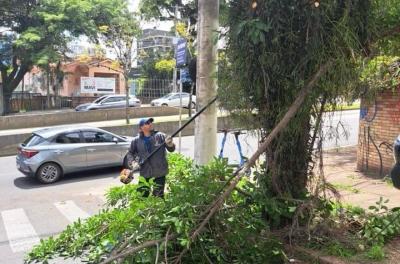 Prefeitura realiza podas próximas a semáforos e placas de sinalização