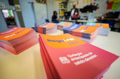 Mutirão do ReguLAR na Vila Farrapos 