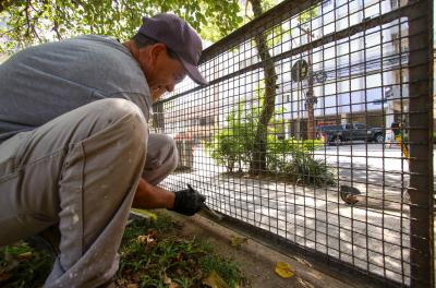 Jardim do Dmae passa por melhorias de paisagismo e zeladoria