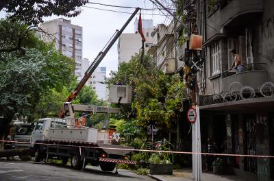 Prefeitura divulga cronograma de manejo arbóreo desta semana 