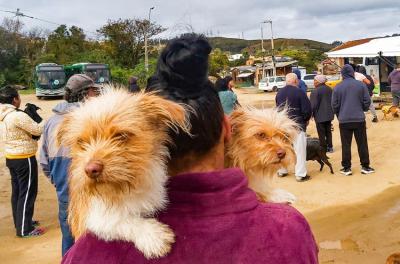 Unidade de Saúde Animal 