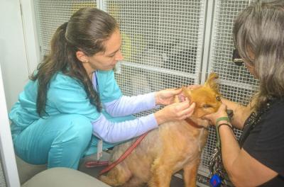 Unidade Móvel de Saúde Animal