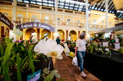 Exposição de Orquídeas 