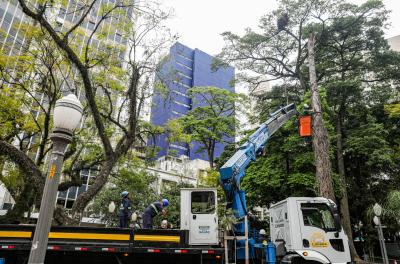 Prefeitura realiza manejo arbóreo em duas praças do Centro Histórico a partir desta terça-feira