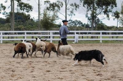 Primavera Rural