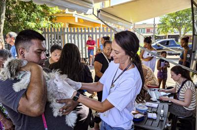 Unidade Móvel de Saúde Animal atende Região Eixo-Baltazar nesta quinta-feira